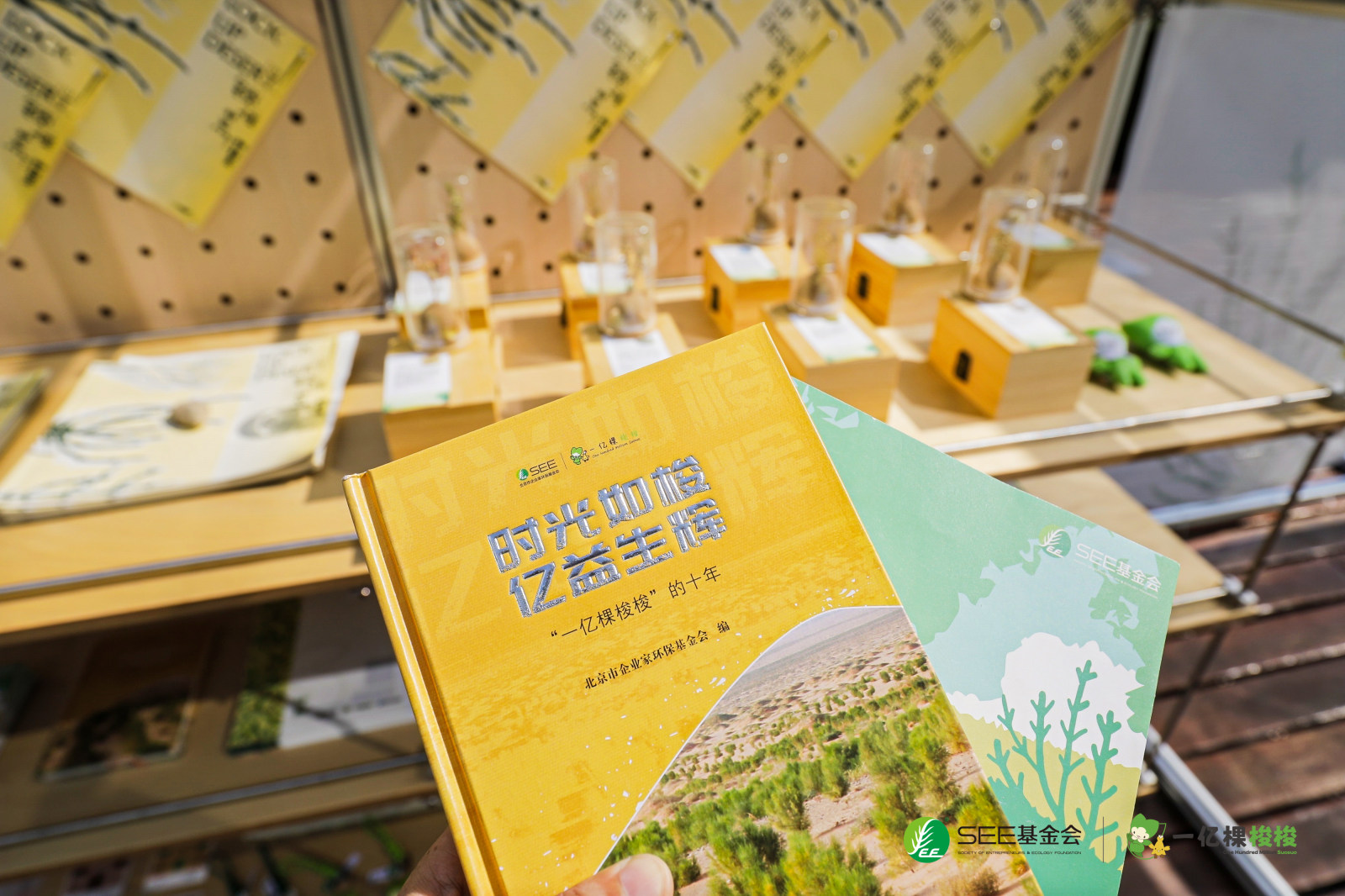 荒漠与我之间-荒漠化防治公众科普活动案例图3