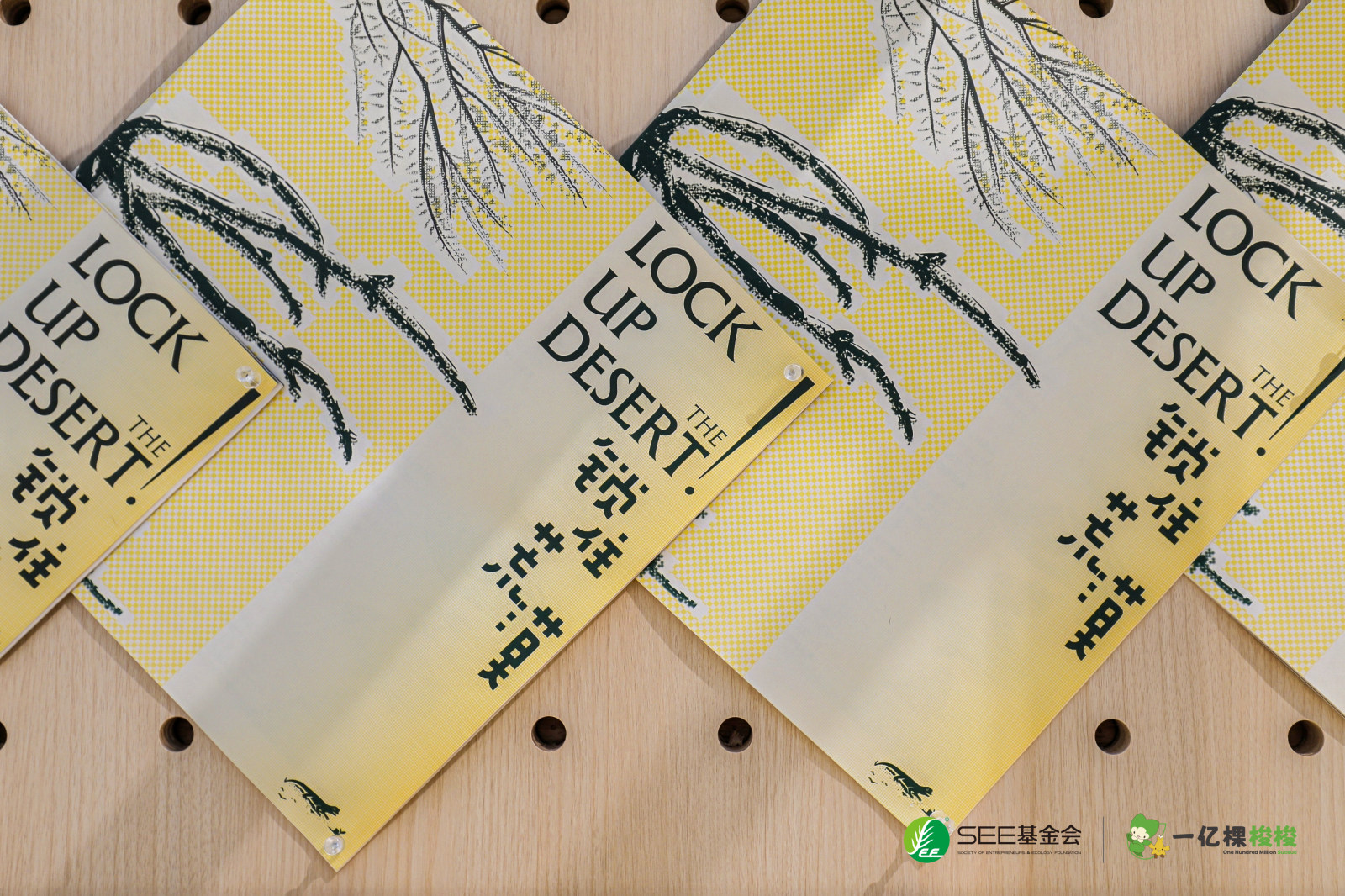 荒漠与我之间-荒漠化防治公众科普活动案例图7
