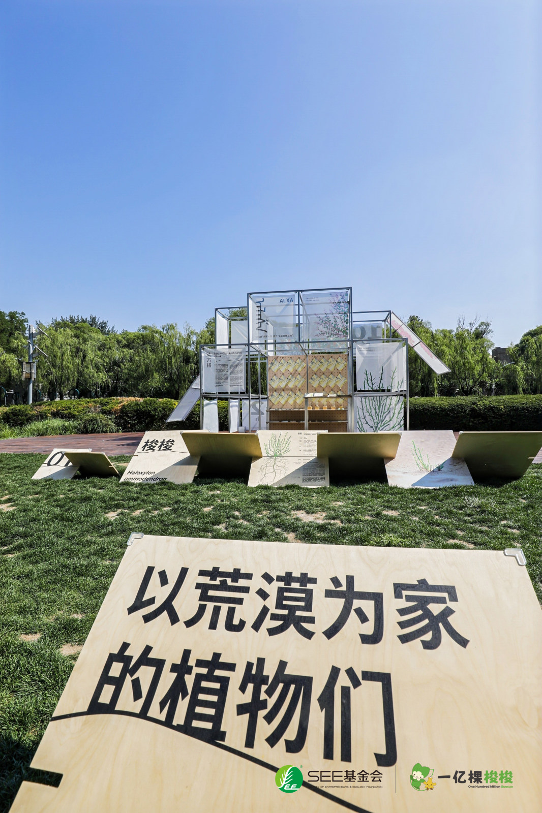 荒漠与我之间-荒漠化防治公众科普活动案例图10