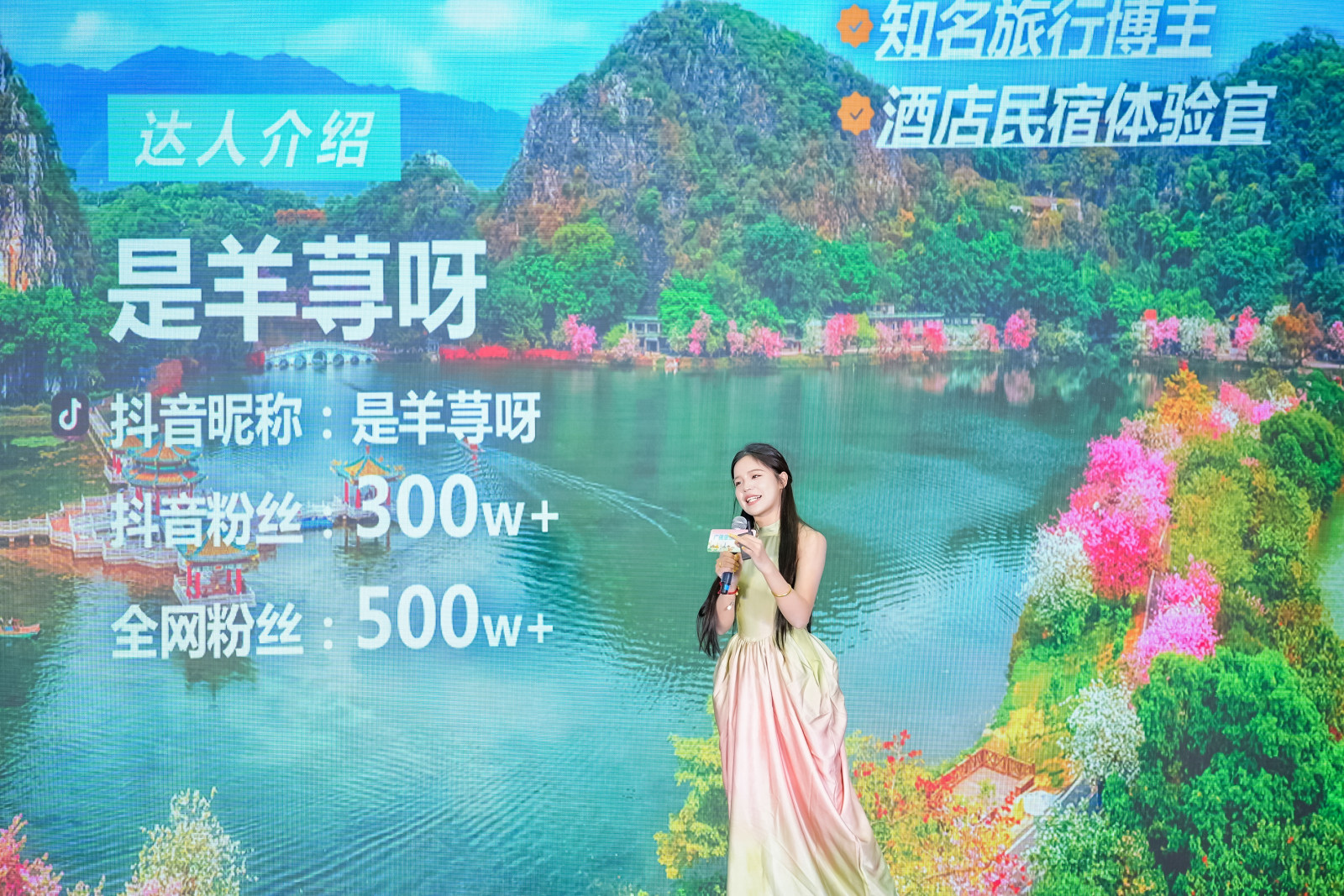 2025广佛肇旅游联盟(长沙)文化旅游推广活动案例图12