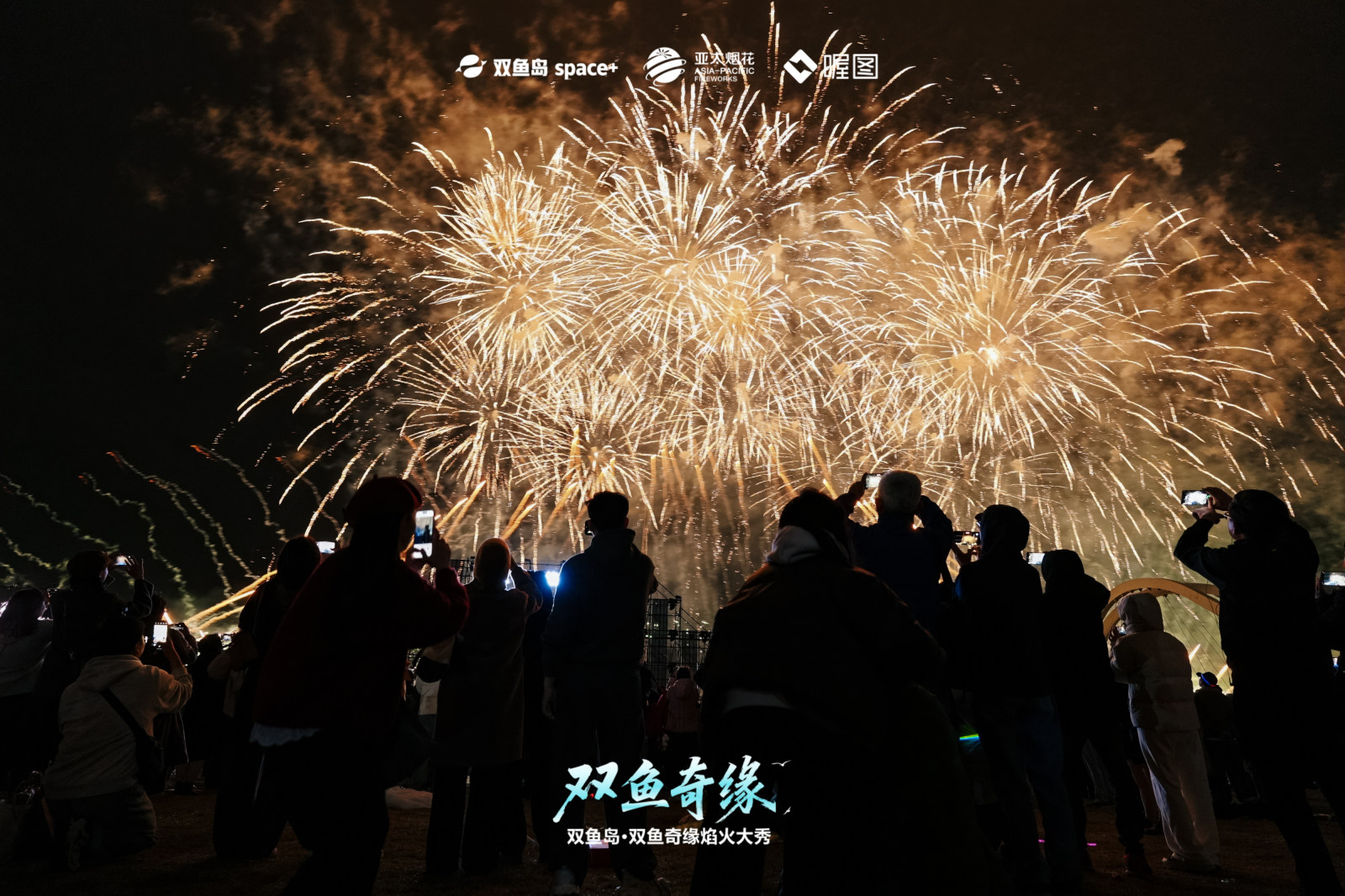 双鱼岛·双鱼奇缘焰火大秀案例图8