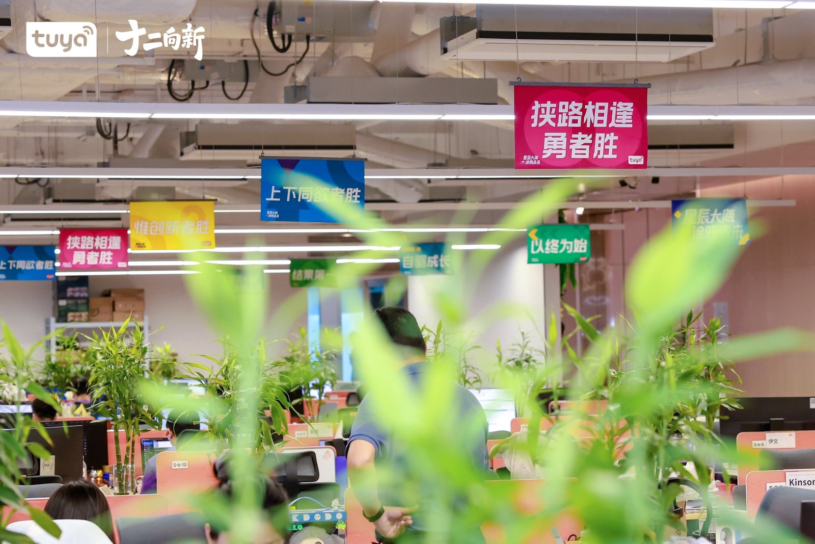 涂鸦12周年司庆案例图2