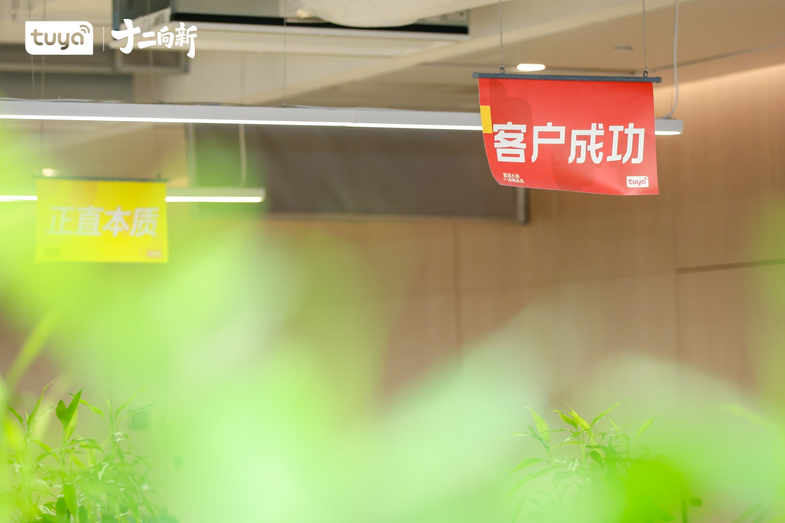 涂鸦12周年司庆案例图3