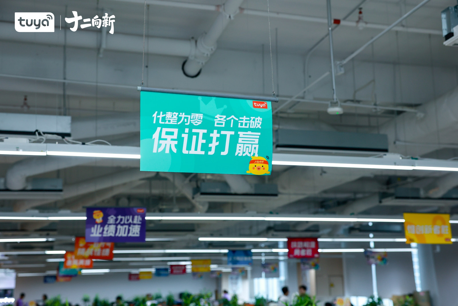 涂鸦12周年司庆案例图4