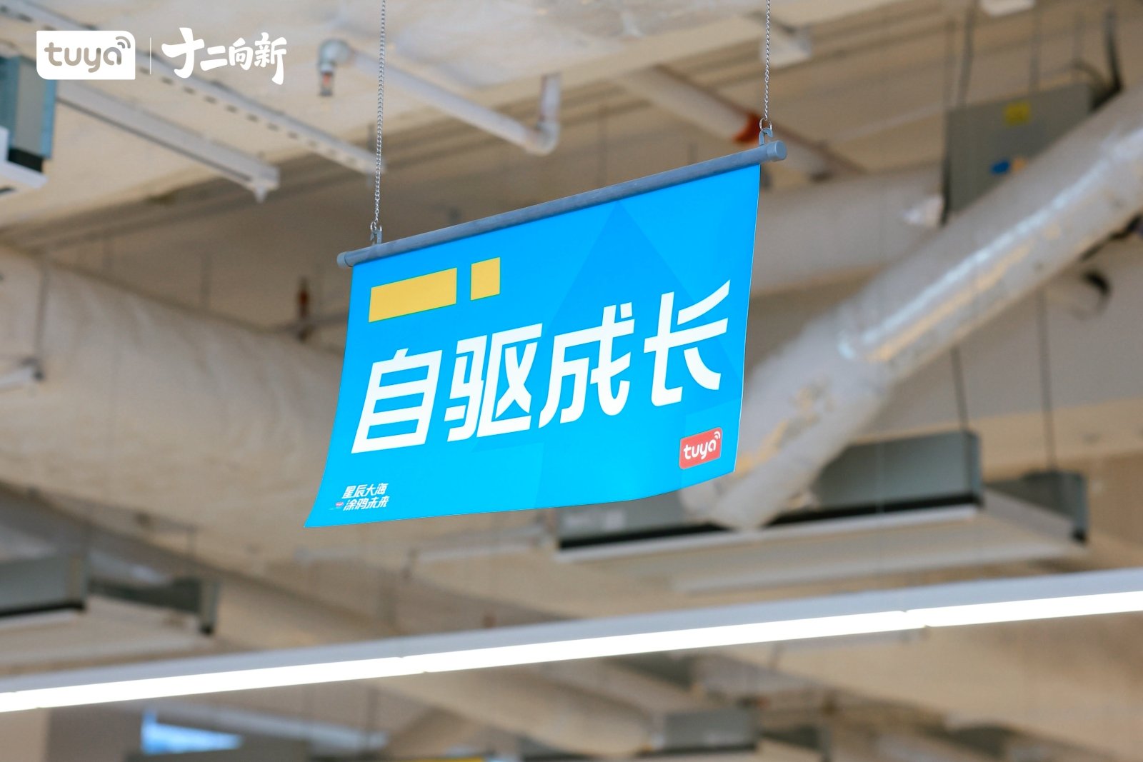 涂鸦12周年司庆案例图9